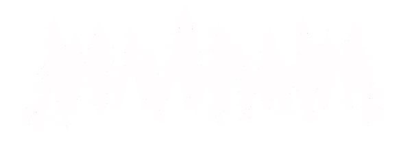 Maineiac Vans
